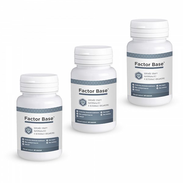 Factor Base XXL