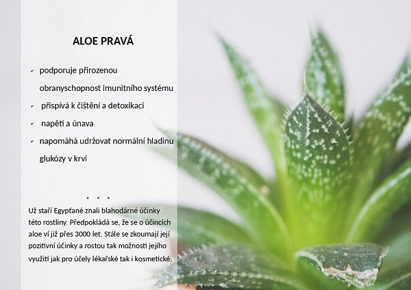 OK Alfa+